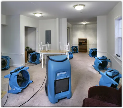 Water Damage Restoration in Menifee, CA